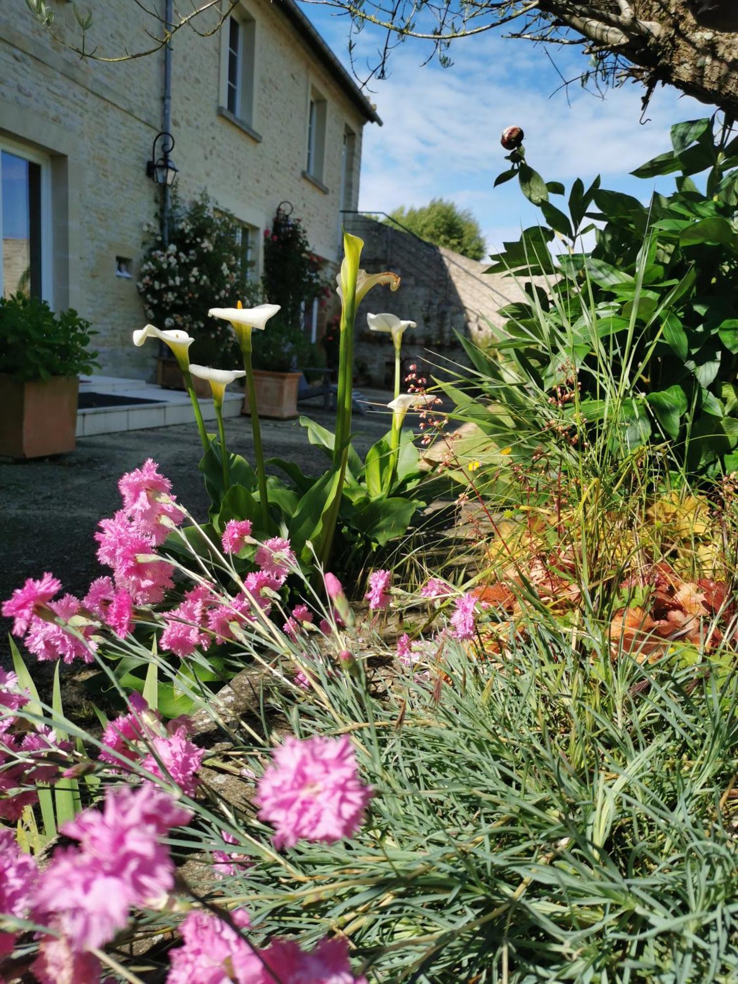 Chambre De L'Iris Sainte-Croix-sur-Mer Kültér fotó
